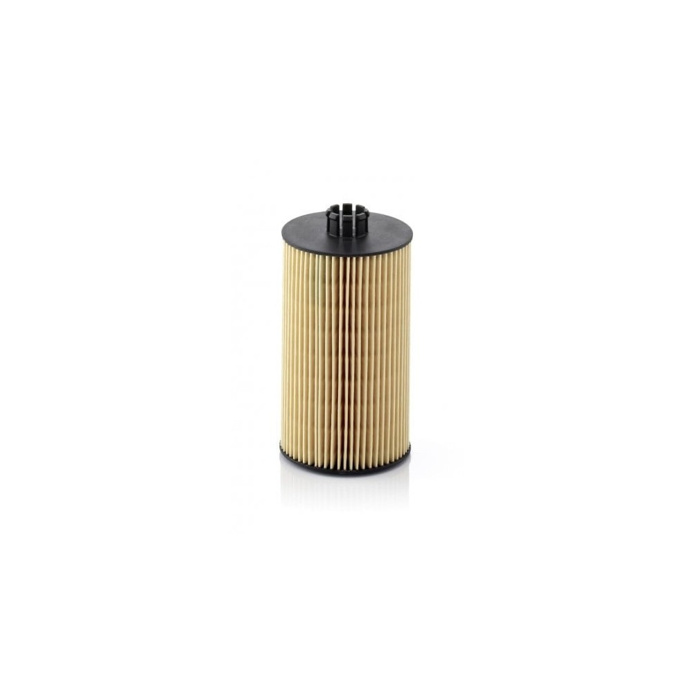 Alyvos filtras MANN-FILTER HU 931 x