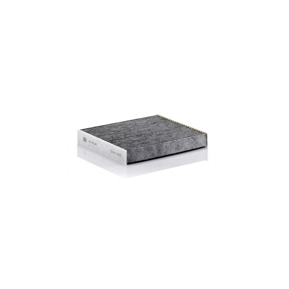 Salono filtras MANN-FILTER CUK 22 005