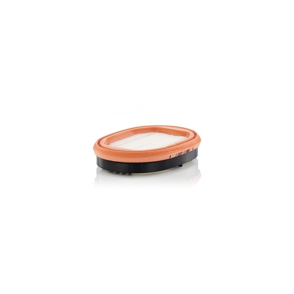 Antrinis oro filtras MANN-FILTER CF 2550/1