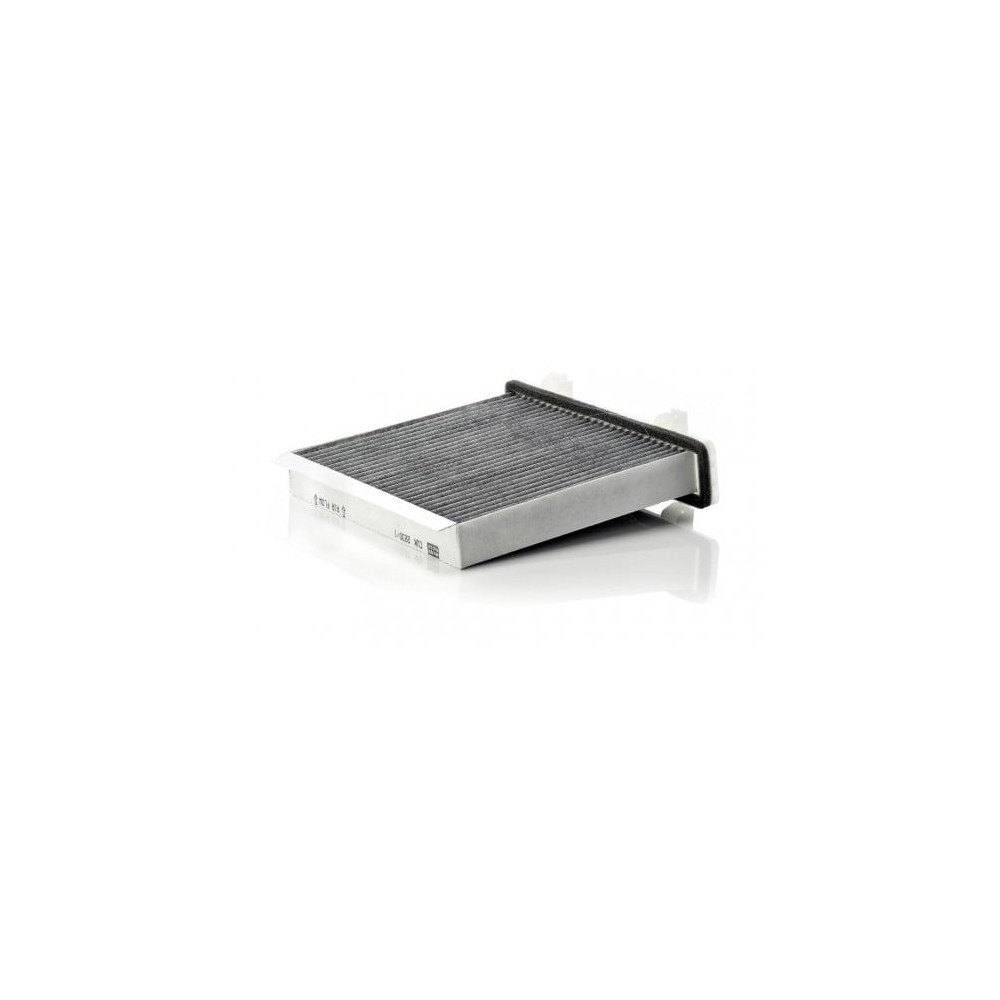 Salono filtras MANN-FILTER CUK 2230/1