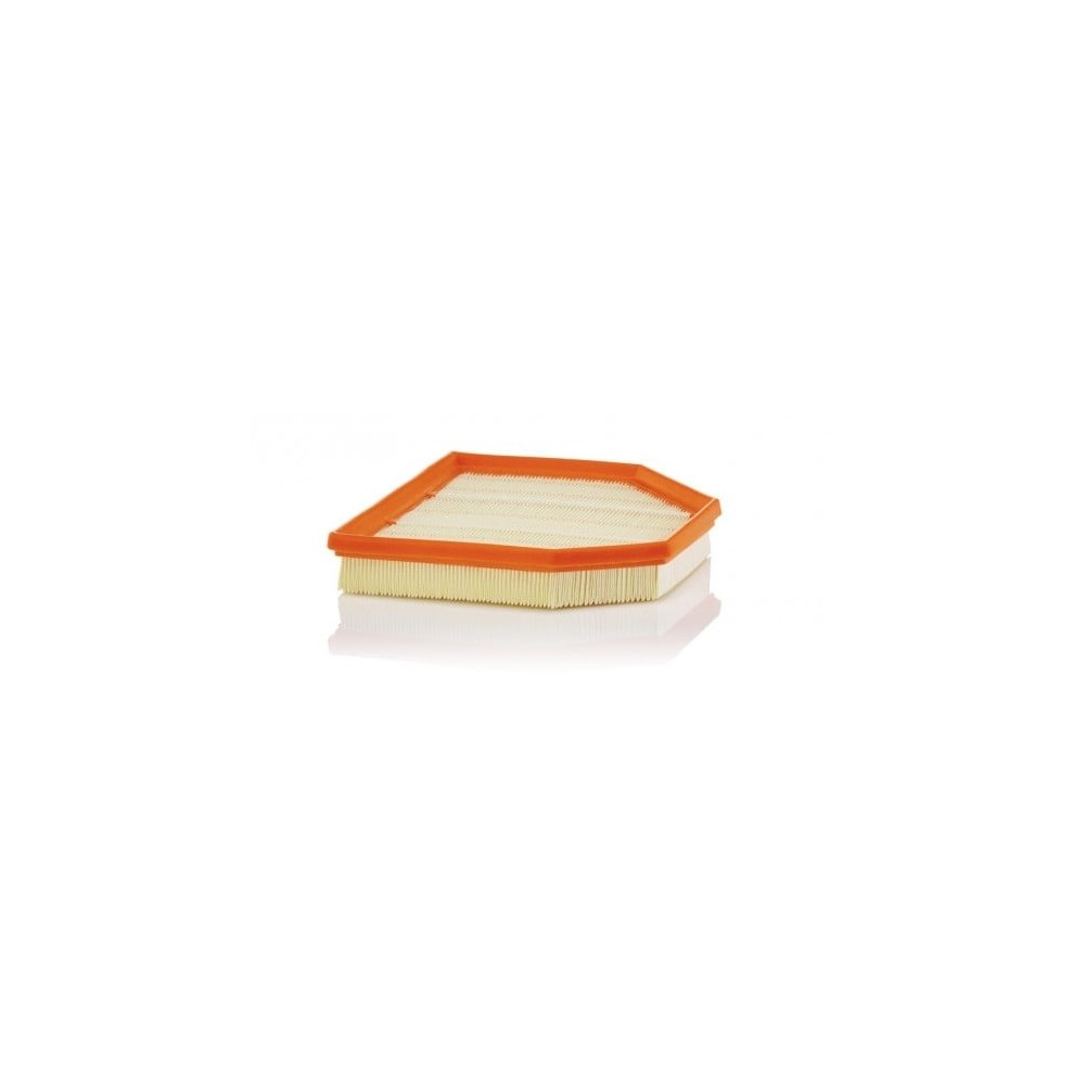 Oro filtras MANN-FILTER C 24 242