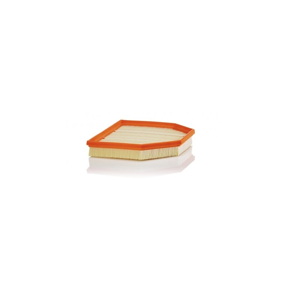 Oro filtras MANN-FILTER C 24 243