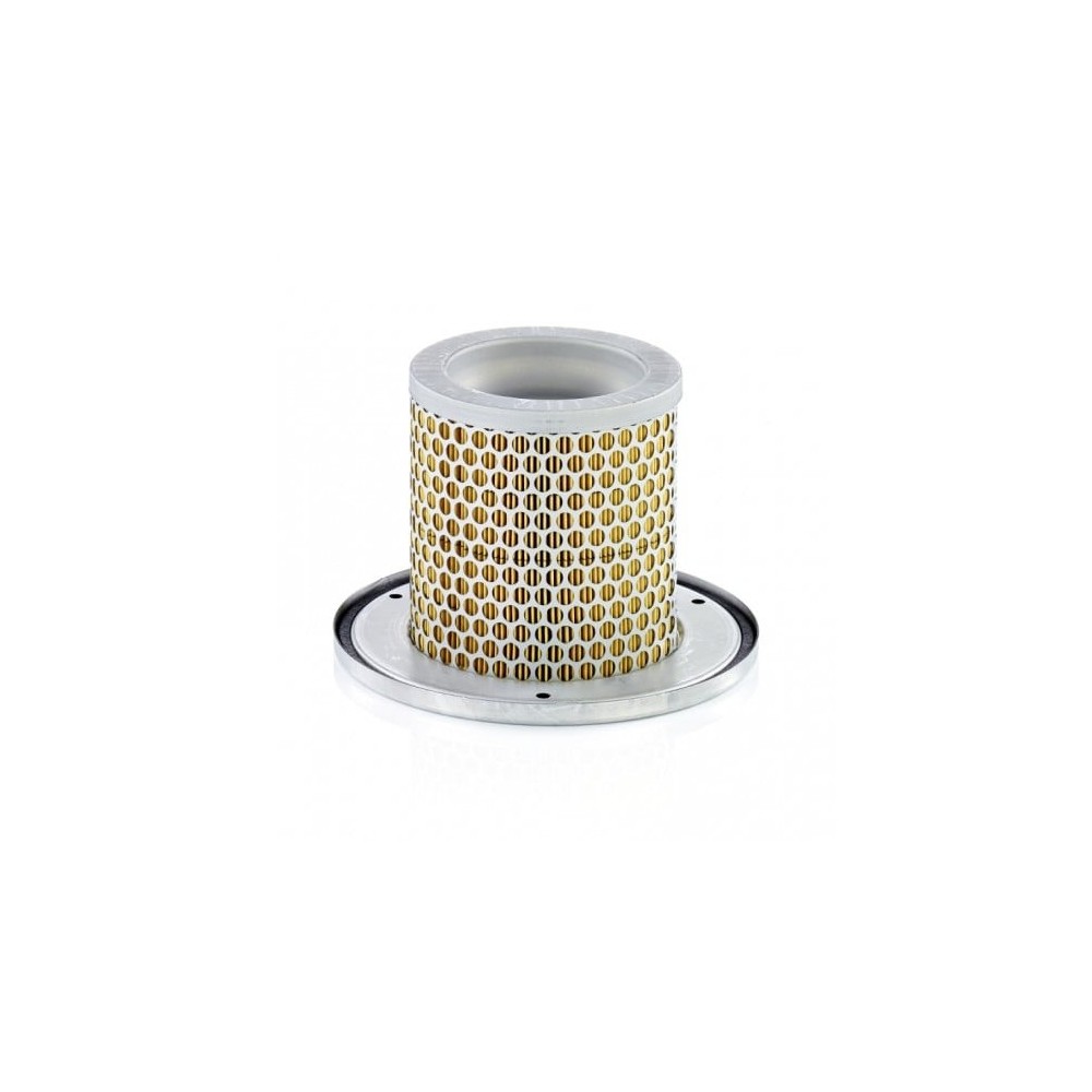 Antrinis oro filtras MANN-FILTER C 1342 KIT