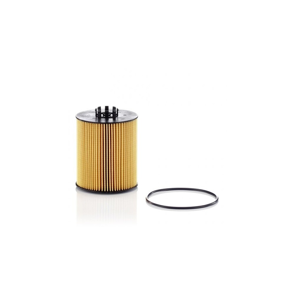 Alyvos filtras MANN-FILTER HU 12 015 x