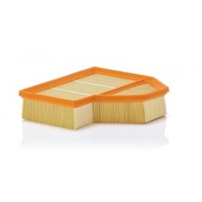 Oro filtras MANN-FILTER C 25 112