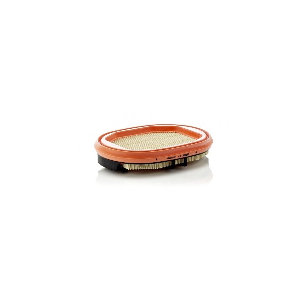 Antrinis oro filtras MANN-FILTER CF 2530