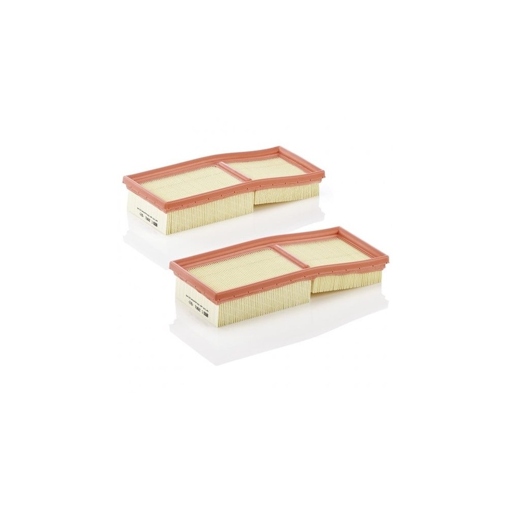 Oro filtras MANN-FILTER C 2861-2