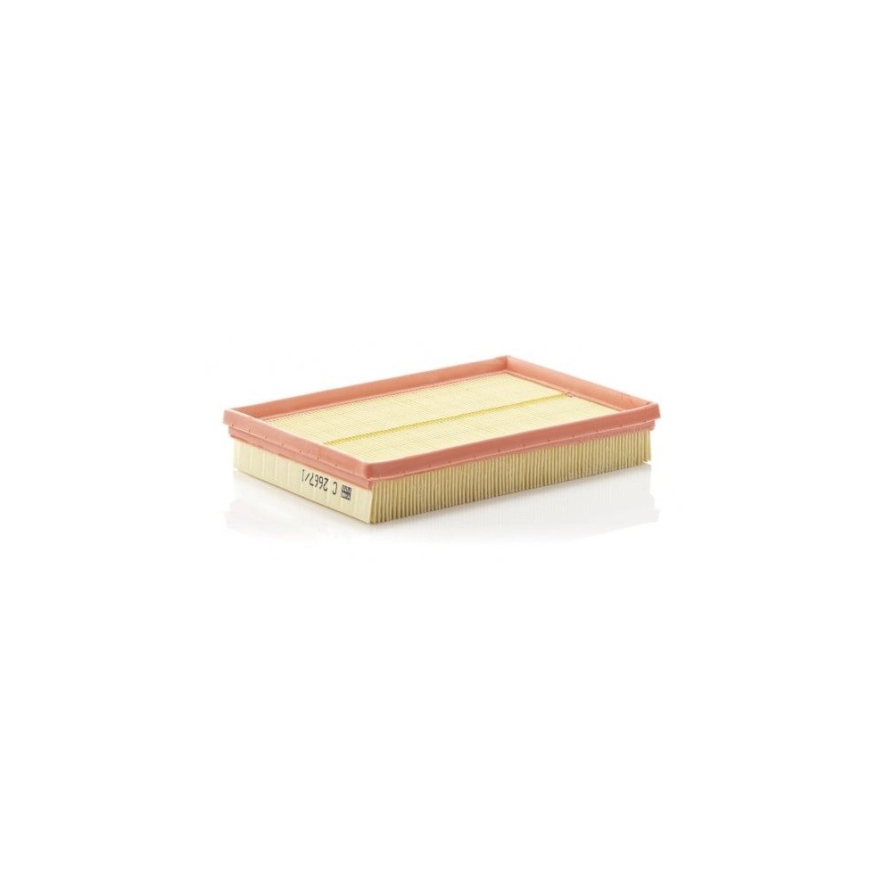 Oro filtras MANN-FILTER C 2667/1