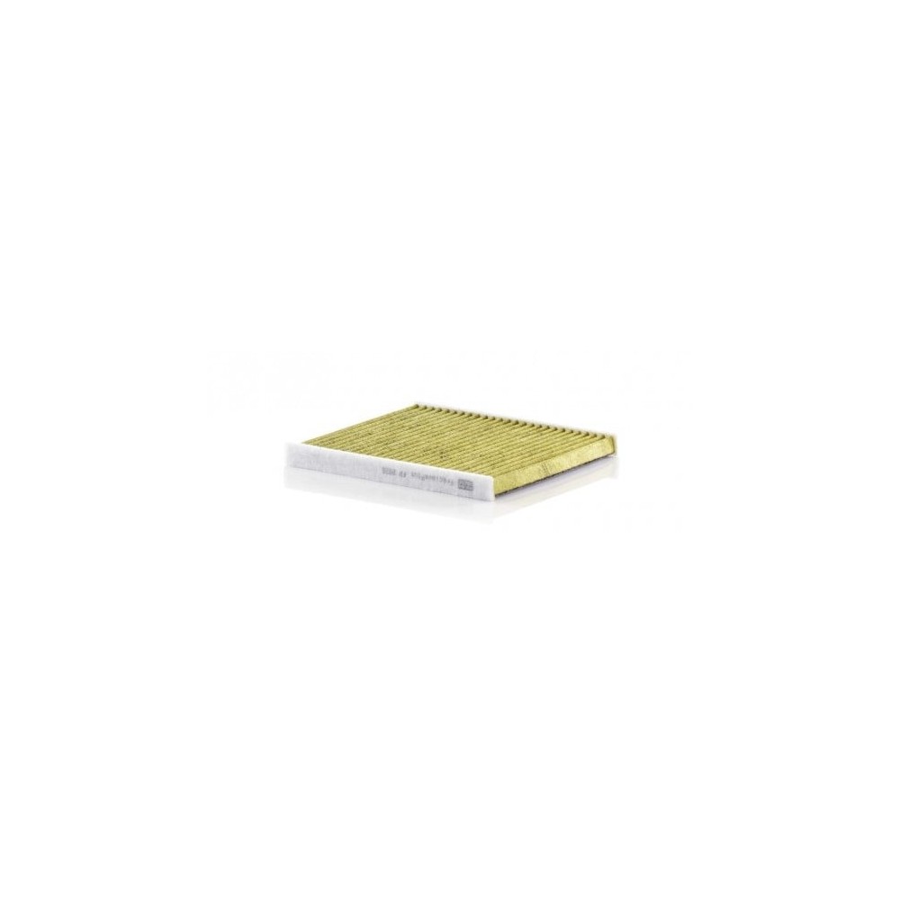 Salono filtras MANN-FILTER FP 2026