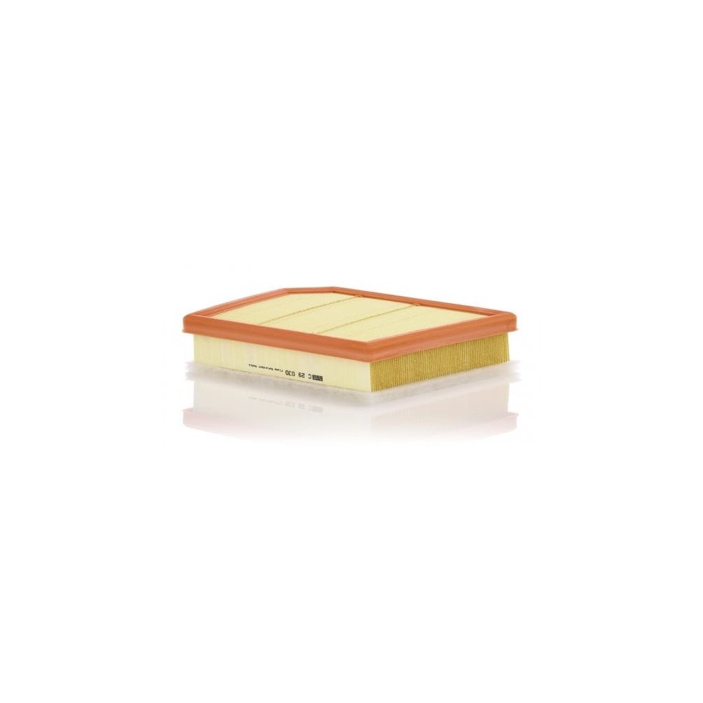 Oro filtras MANN-FILTER C 29 030