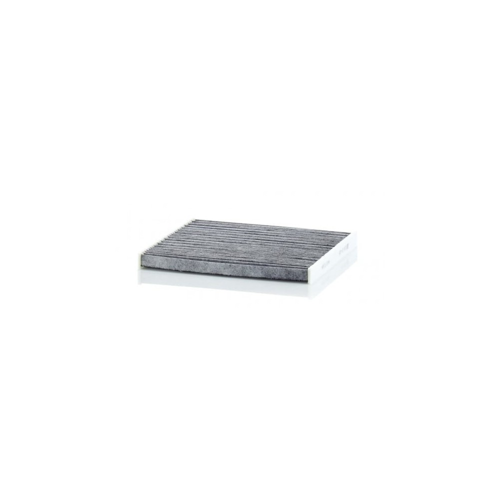 Salono filtras MANN-FILTER CUK 24 026
