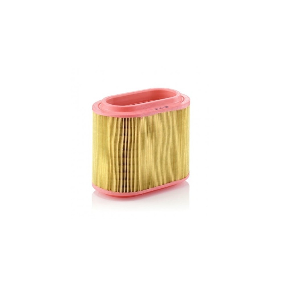 Oro filtras MANN-FILTER C 24 196