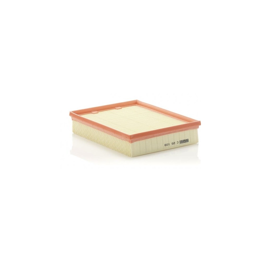 Oro filtras MANN-FILTER C 25 109