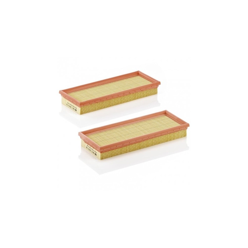 Oro filtras MANN-FILTER C 3170/1-2