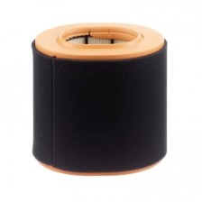 Air Filter MANN-FILTER C 20 043