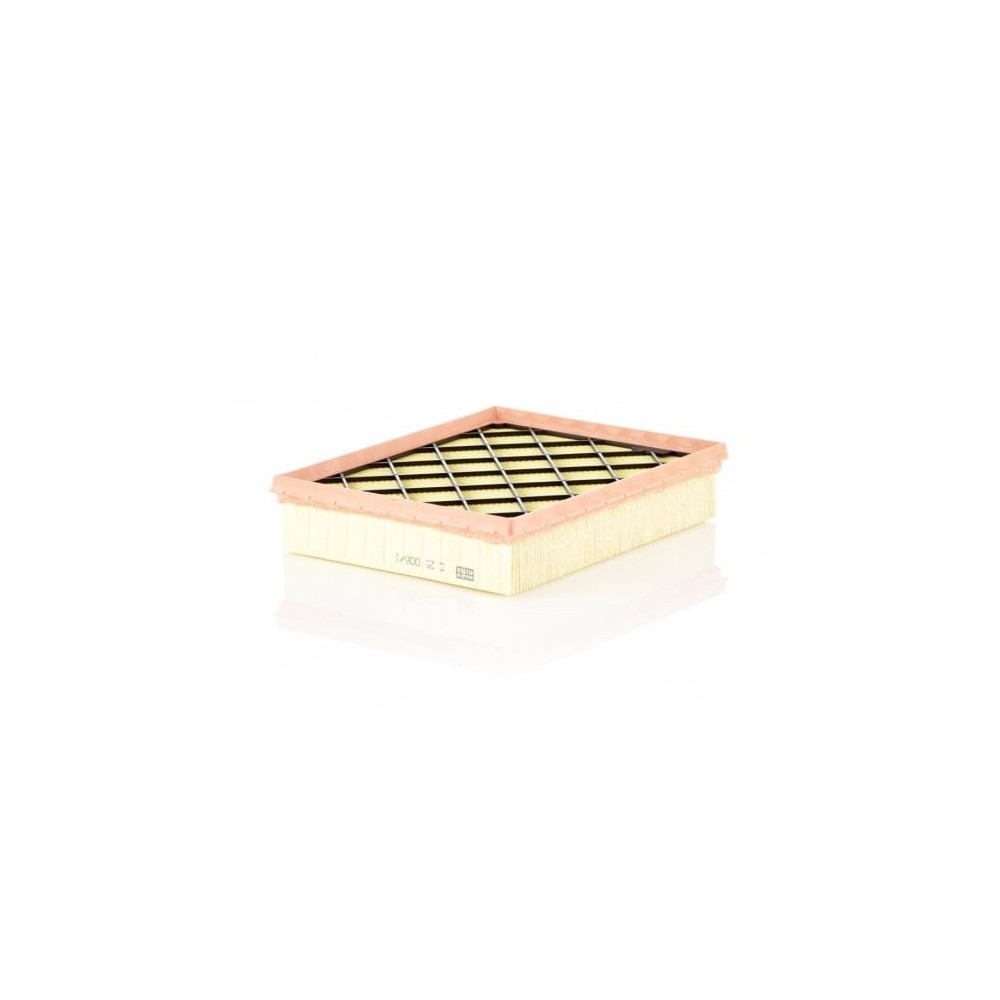 Air Filter MANN-FILTER C 25 008/1