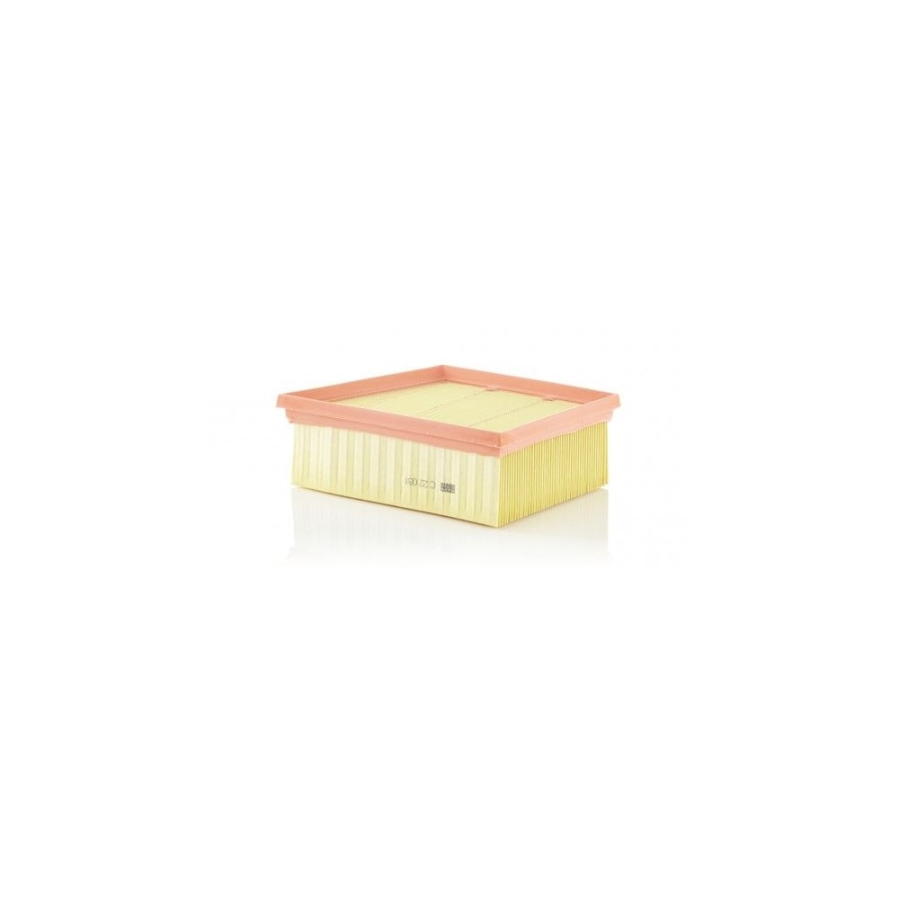Air Filter MANN-FILTER C 22 031
