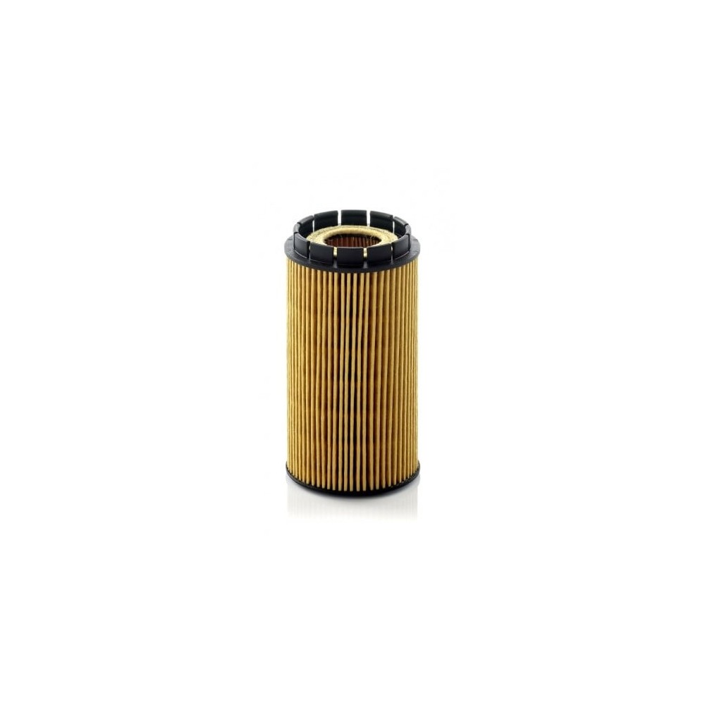 Oil Filter MANN-FILTER HU 718/2 x