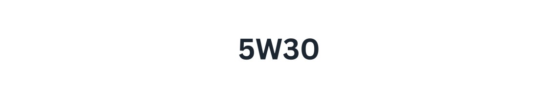 5W-30 variklio alyva internetu | Didelis pasirinkimas